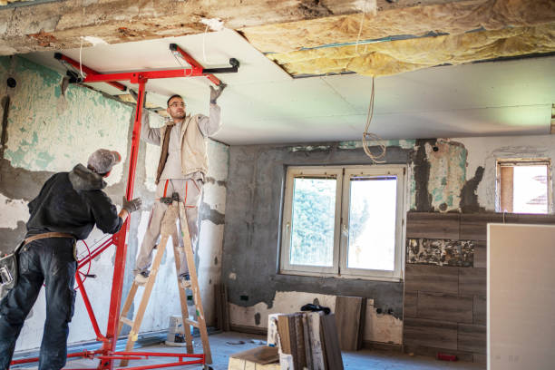 Best Professional Insulation Contractor  in Atlantic, IA