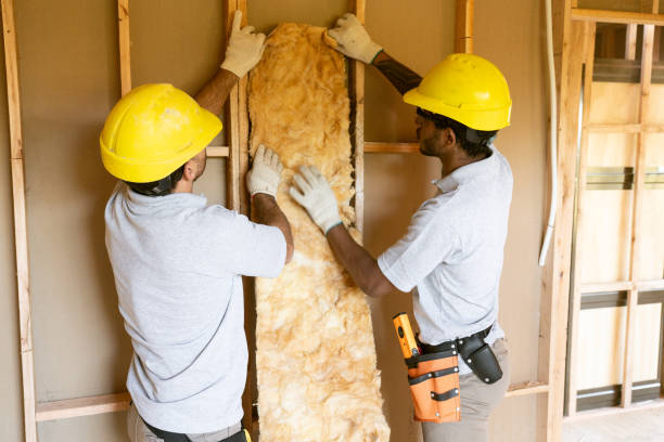 Best Insulation Inspection Services  in Atlantic, IA